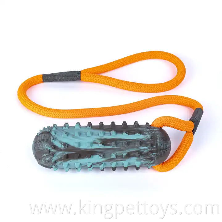 Interactive Dog Rubber Toy